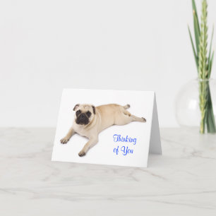 Thinking of You Pug Blank Note Card
