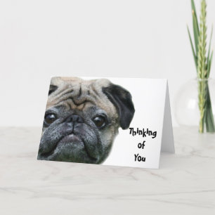Thinking of you pug dog greeting card