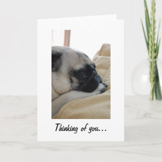 Thinking of You Pug Greeting Card