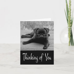 Thinking of You Pug Puppy Dog Blank Note Card