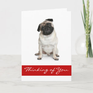 Thinking of You Pug Puppy Dog Greeting Card