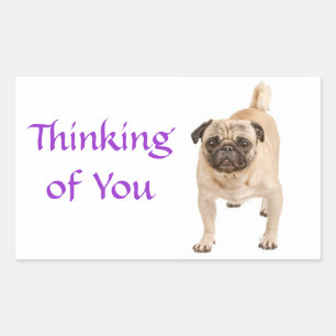 Thinking of You Pug Puppy Dog Greeting Stickers