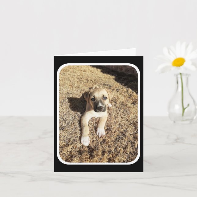 Thinking of You - Puppy Cuteness Card (Small Plant)