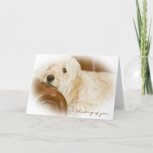 Thinking of You - Puppy Love Card