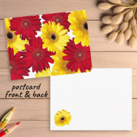 Thinking of You Red and Yellow Gerber Daisies