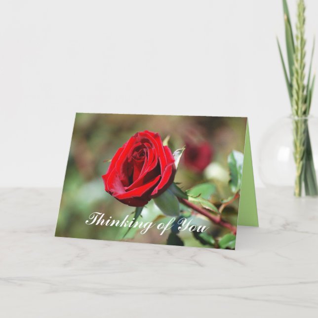 Thinking of You Romantic Red Rose Card (Front)