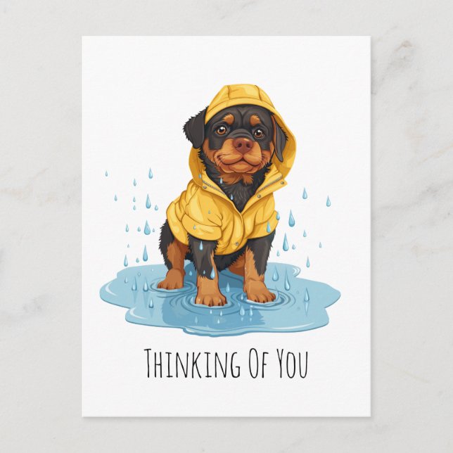 Thinking Of You Rottweiler Dog Wearing Raincoat Postcard (Front)