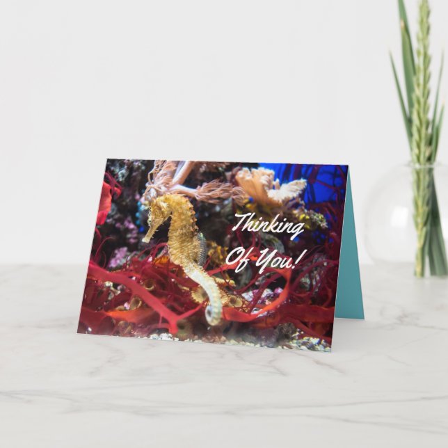 Thinking Of You Seahorse Card (Front)