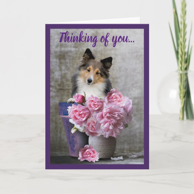 Thinking of You Sheltie Dog Card Personalise (Front)