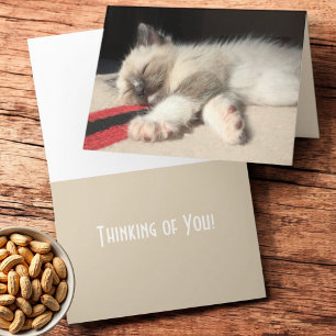 Thinking of You Sleeping Siamese Kitten Photograph Card