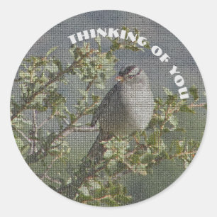 Thinking of You Small Sparrow Photo Mosaic Bird Classic Round Sticker