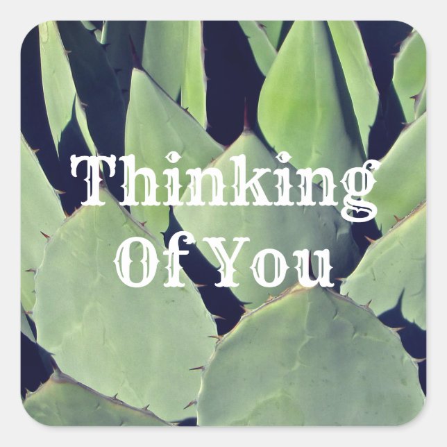 Thinking of You Southwest Style Agave Friendship Square Sticker (Front)