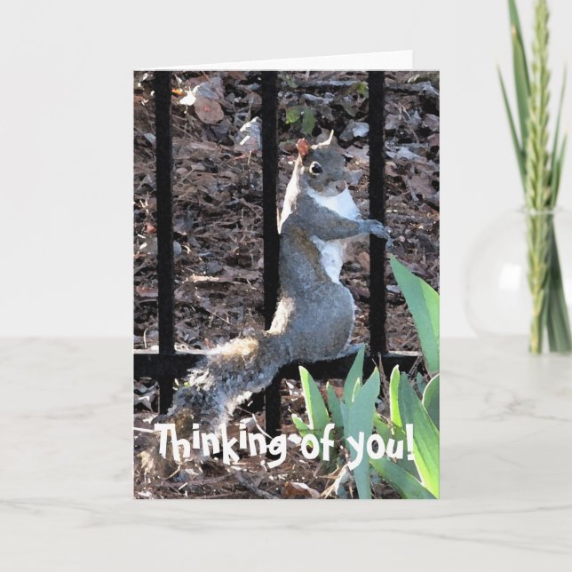 Thinking of you! Squirrel Card (Front)