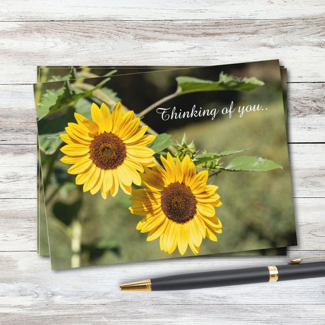 Thinking Of You Sunflowers  Postcard (Creator Uploaded)