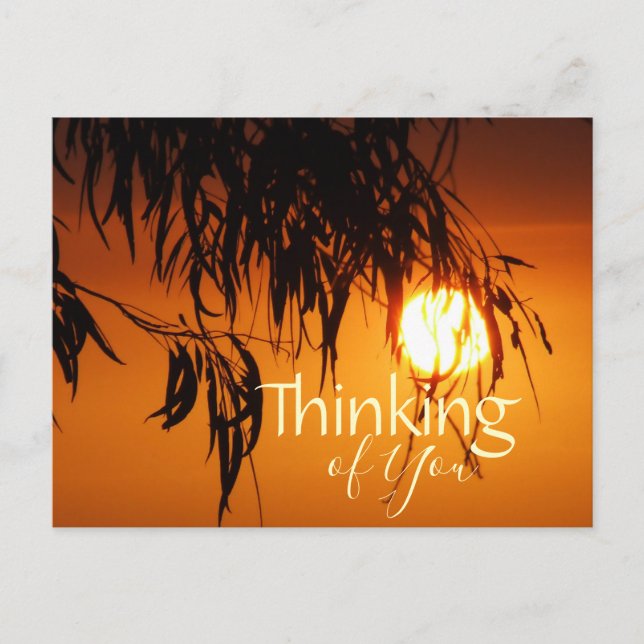 Thinking of You Sunset Glory Postcard template (Front)