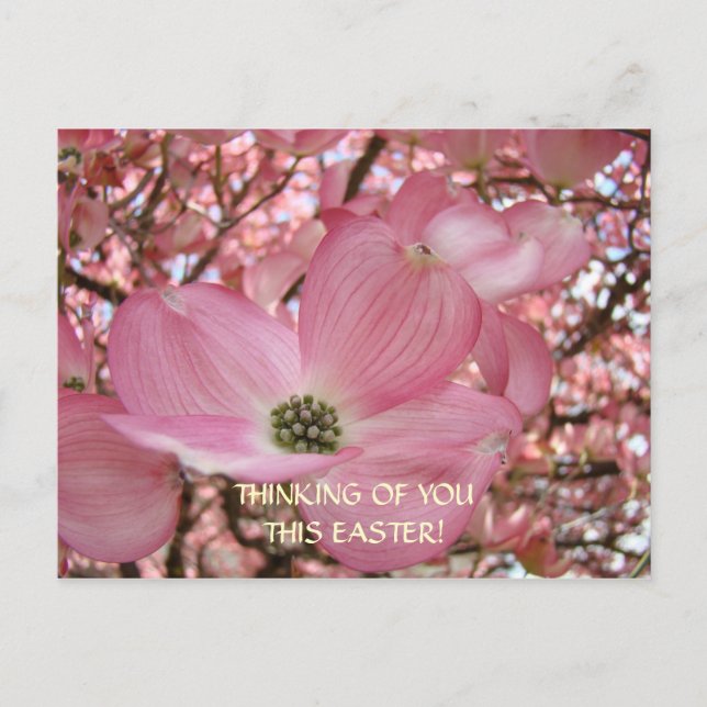 THINKING of You this Easter! Post Card Pink Dogwoo (Front)