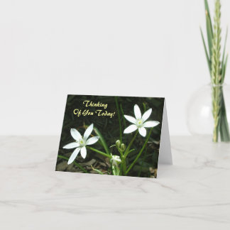 Thinking Of You Today! - Blank Inside Card