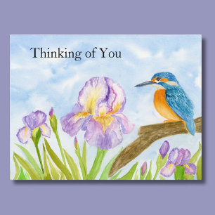 Thinking of You Watercolor Kingfisher Purple Iris Postcard