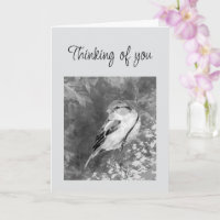 Thinking of You Watercolor Sparrow Bird in Forest