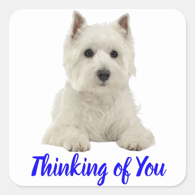 Thinking of You West Highland Terrier  Puppy Dog Square Sticker (Front)