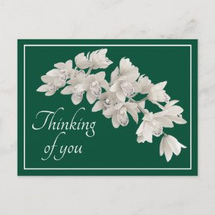 Thinking of You White Orchid Modern Botanical Chic Postcard