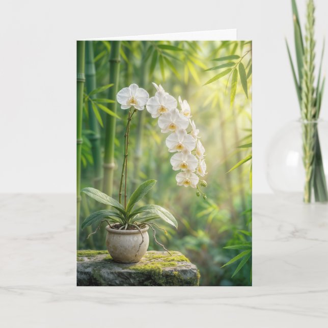 Thinking of You White Orchids and Bamboo Card (Front)