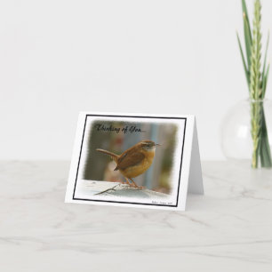 "Thinking of You..." Wren Card