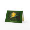 Thinking of You Yellow Rose Bud
