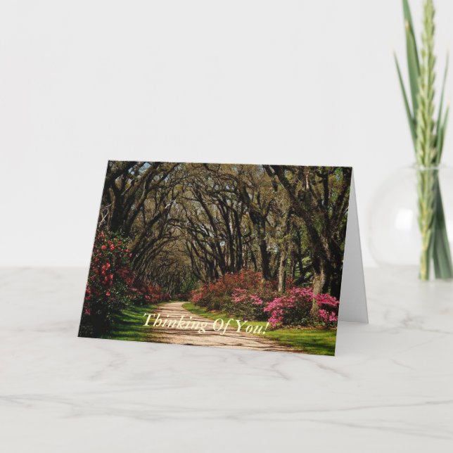 Thinking Of You! Zeus and Scenery Thinking Of You! Card (Front)