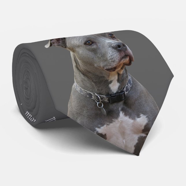 Thinking Pitbull Tie (Rolled)