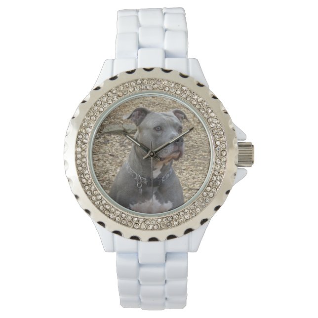 Thinking Pitbull Women's Watch (Front)