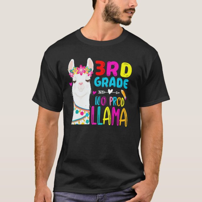 Third Team 3rd Grade Teacher Rainbow No Prob Llama T-Shirt (Front)