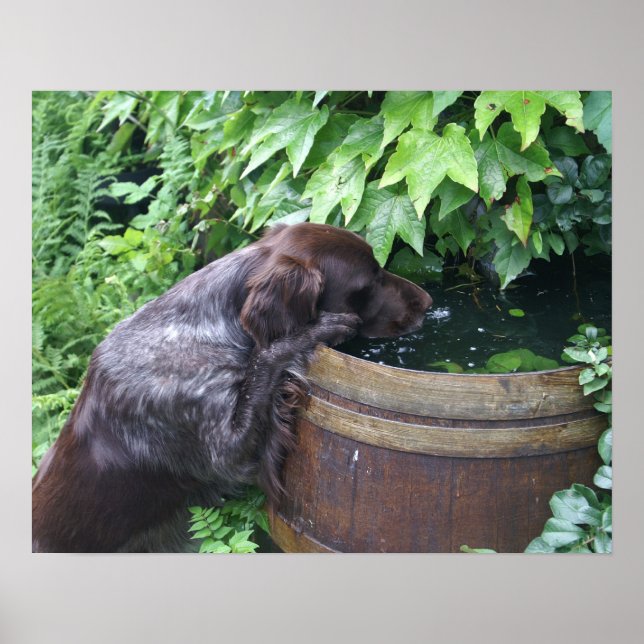 Thirsty after work poster (Front)