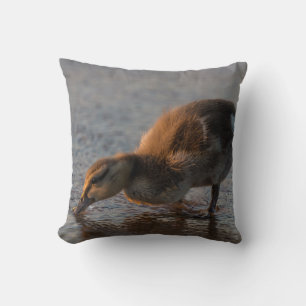 Thirsty Baby Cushion