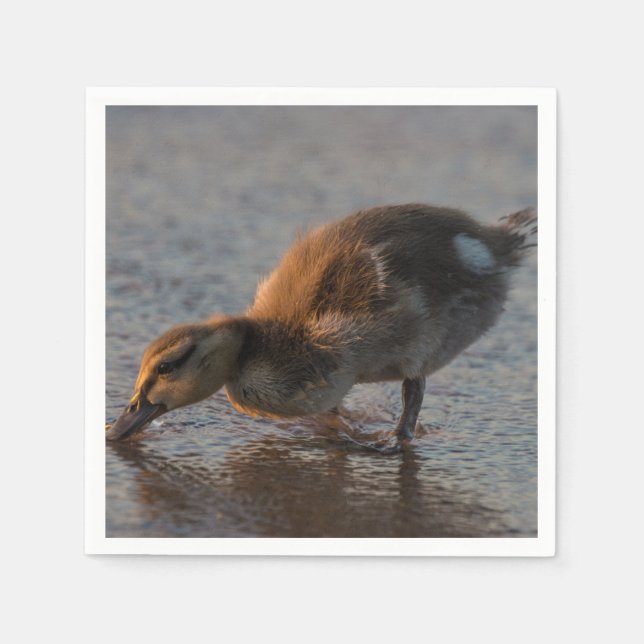 Thirsty Baby Napkin (Front)