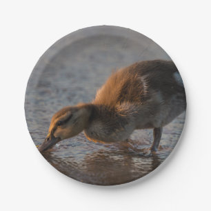 Thirsty Baby Paper Plate