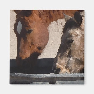 Thirsty Horses Drink at the Water Trough Magnet