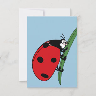 Thirsty Ladybug Thank You Card