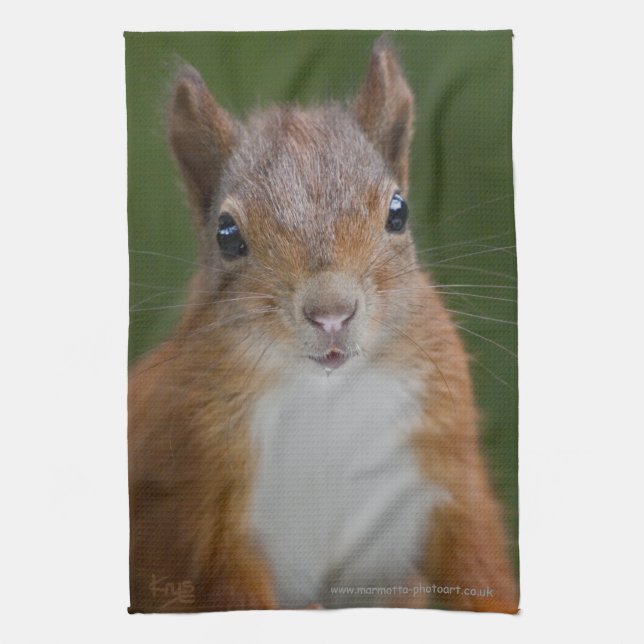 Thirsty Squirrel Kitchen Towel (Vertical)