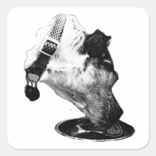 Thirsty Terrier Mix Vinyl Sticker