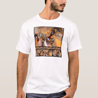 Thirteen Pieces T-Shirt