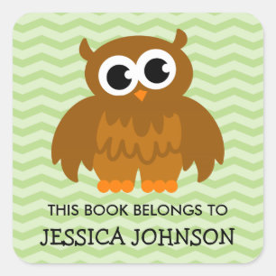 This book belongs to cute owl bookplate stickers