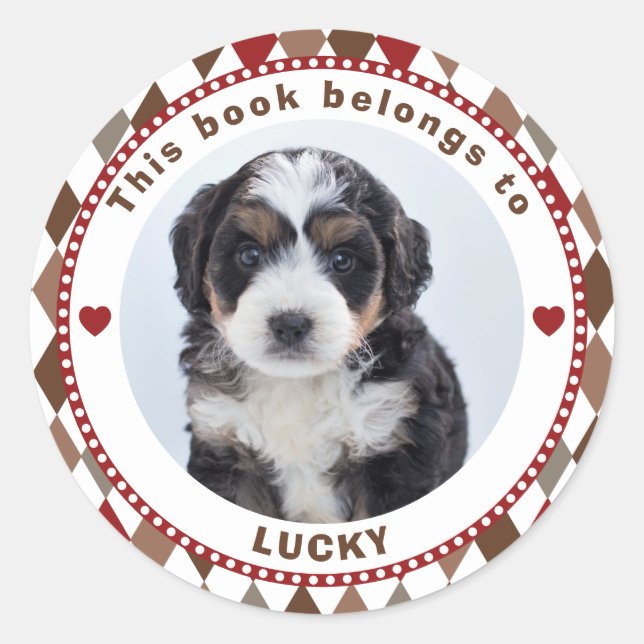 This Book Belongs To Kids Custom Name Modern Photo Classic Round Sticker (Front)