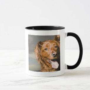 This dog is part golden retriever. mug