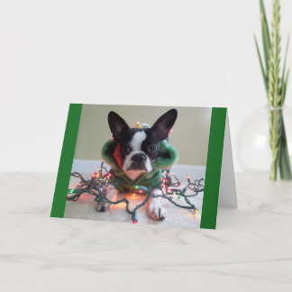 This ELF stuff is WORK! Holiday Card