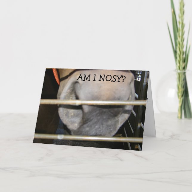 THIS HORSE IS "NOT NOSY" HAPPY BIRTHDAY TO YOU CARD (Front)