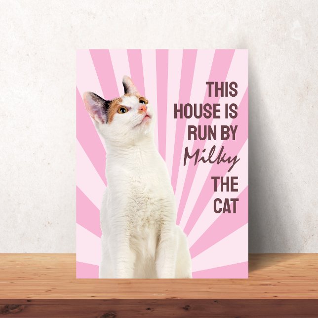 This House is Run by the Cat Custom Cat Poster (This House is Run by the Cat Custom Cat Poster)