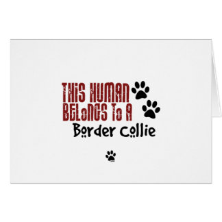 This Human Belongs to a Border Collie