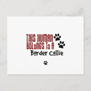 This Human Belongs to a Border Collie Postcard