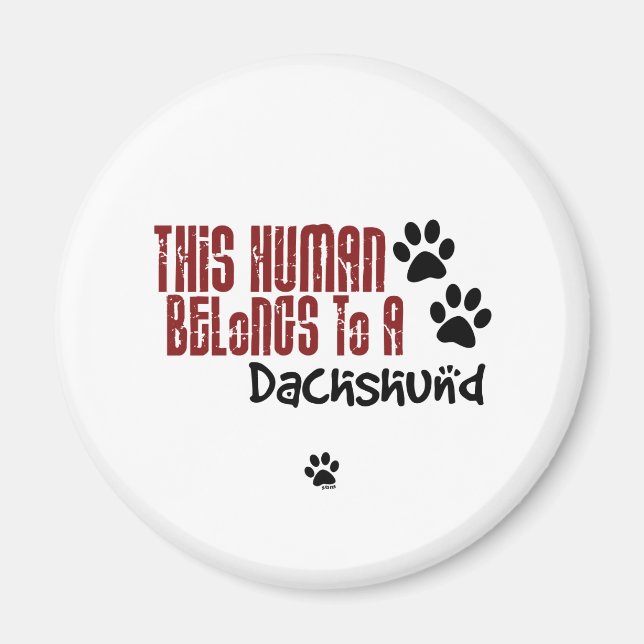 This Human Belongs to a Dachshund Magnet (Front)